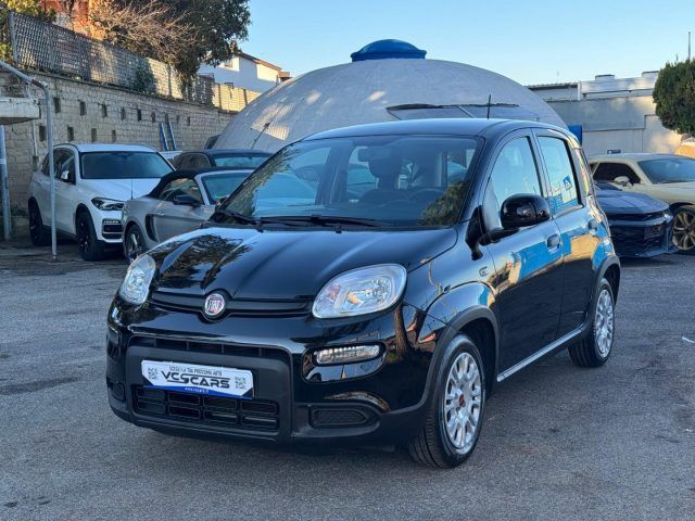 Fiat Panda 2024