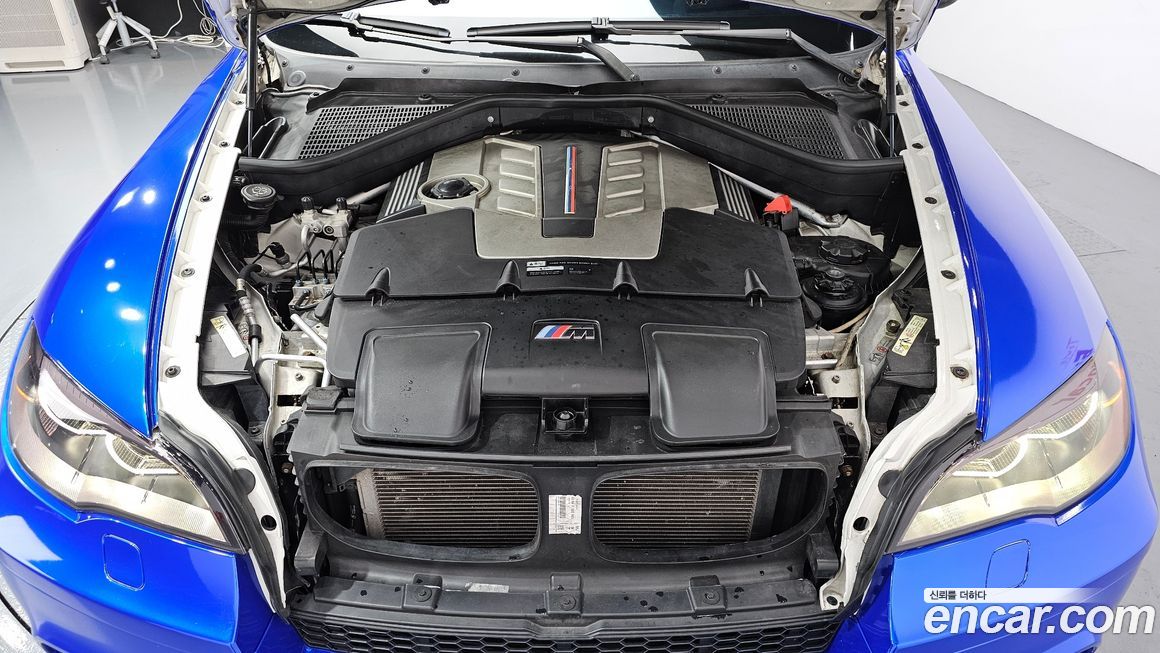 BMW X6M 2010