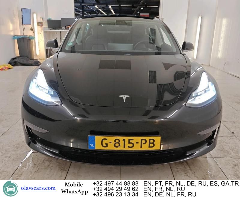 Tesla Model 3 2019