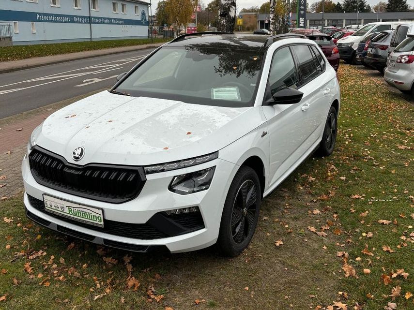 Skoda Kamiq 2017