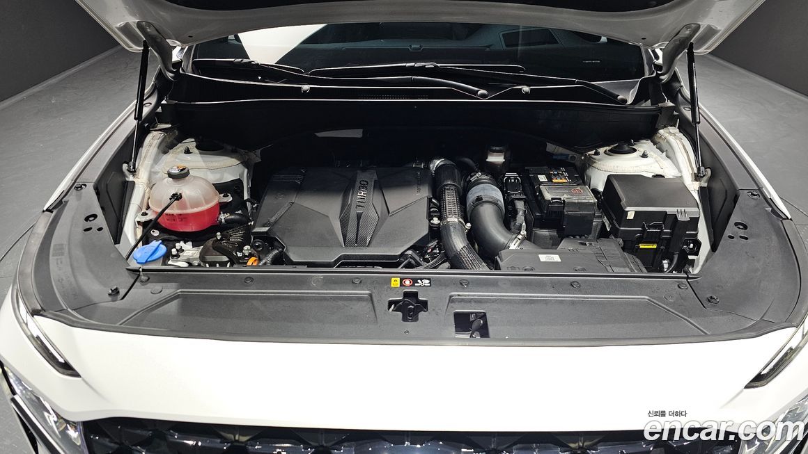 Hyundai Santafe 2021