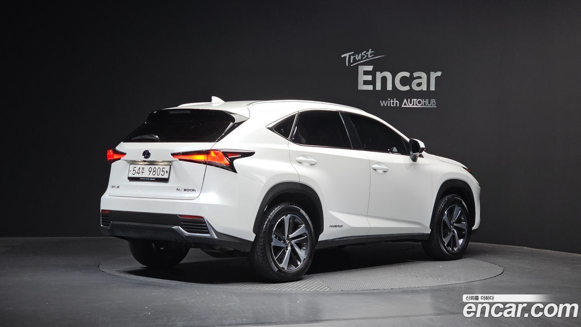Lexus NX 2019