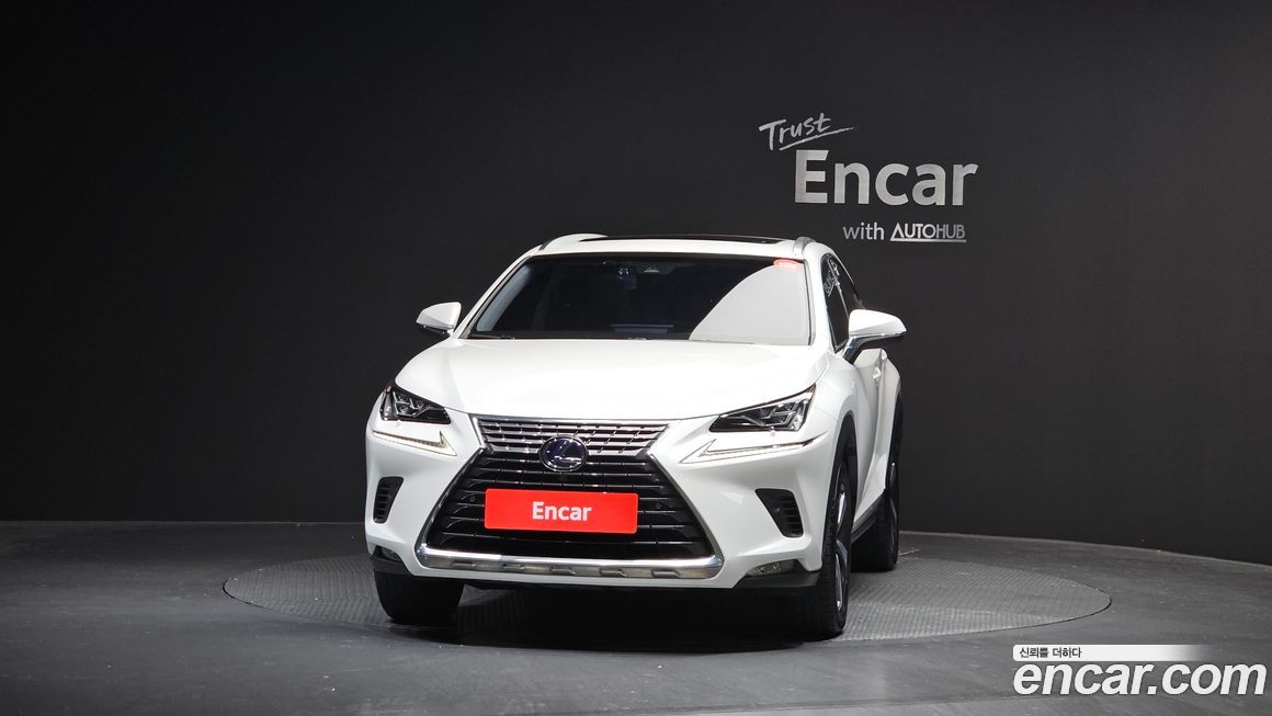 Lexus NX 2019