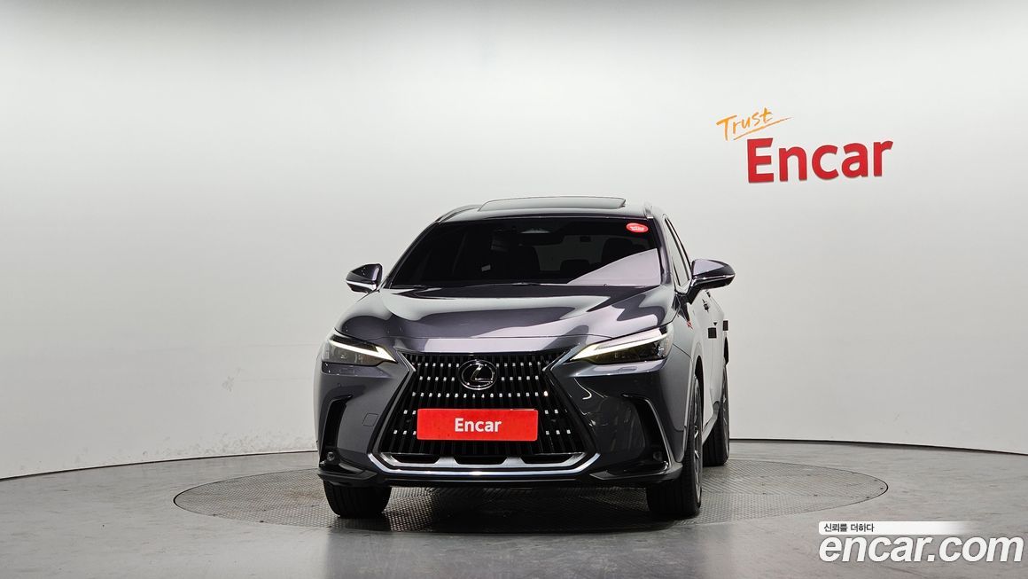 Lexus NX 2022