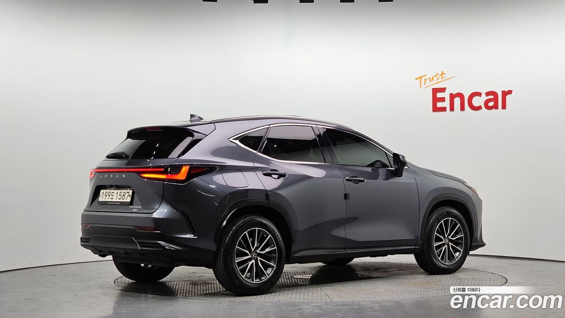 Lexus NX 2022