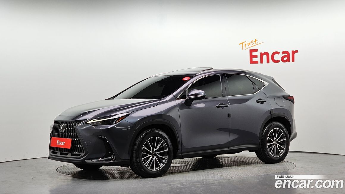 Lexus NX 2022