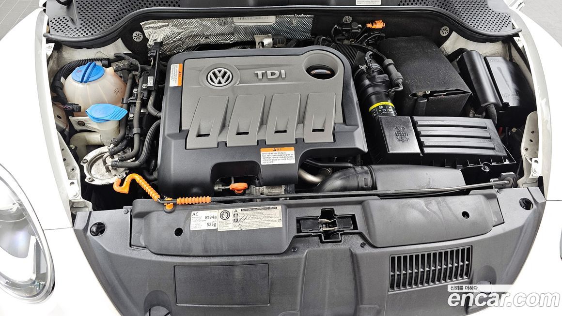 Volkswagen Beatle 2013