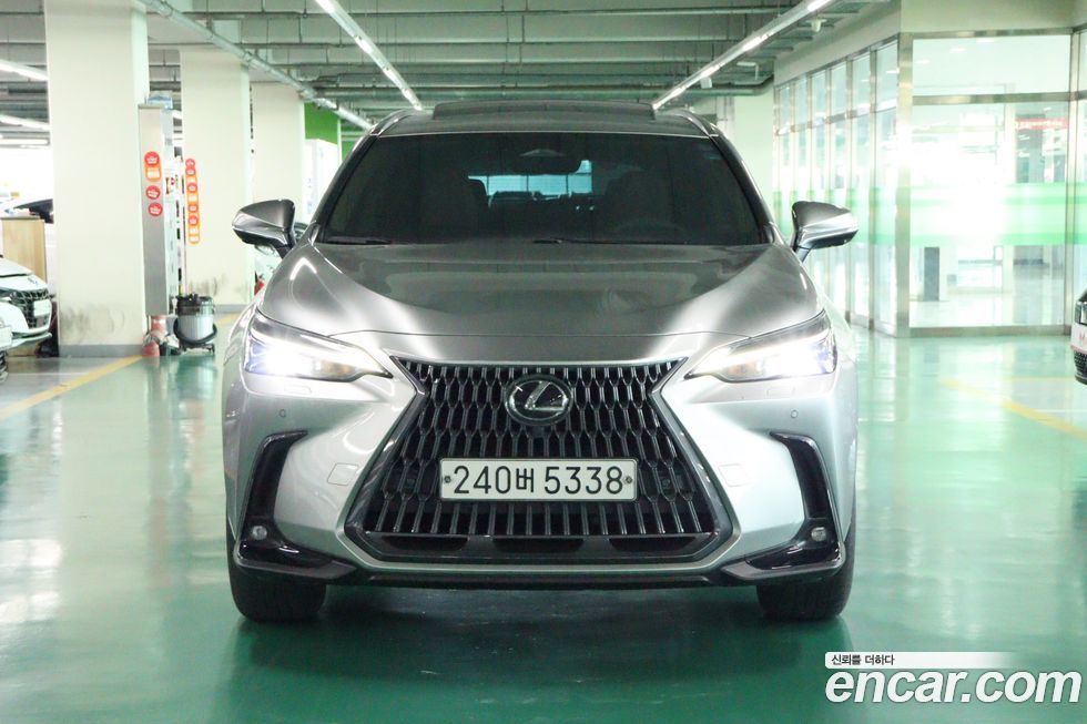 Lexus NX 2022