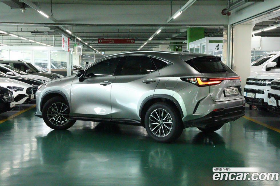 Lexus NX 2022