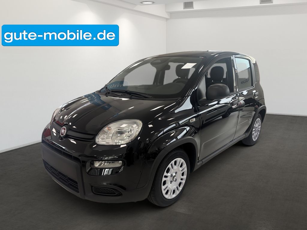 Fiat Panda 2024