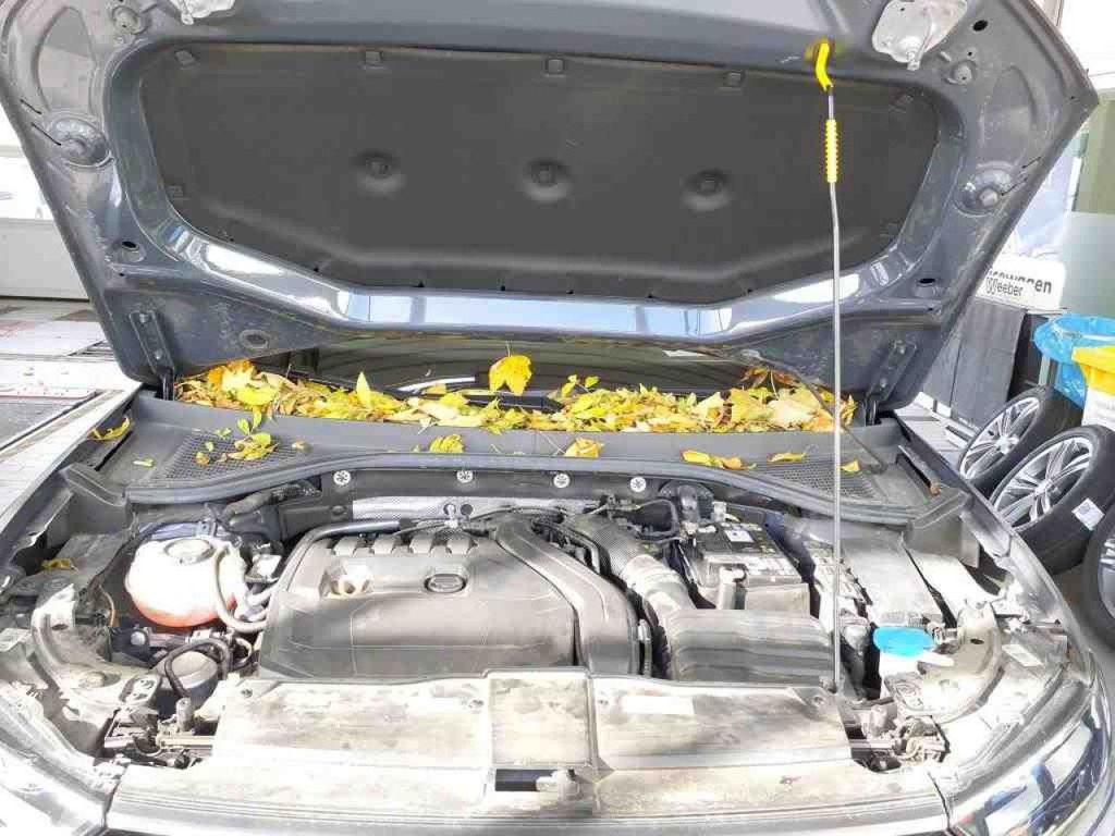 Volkswagen T-Roc 2021