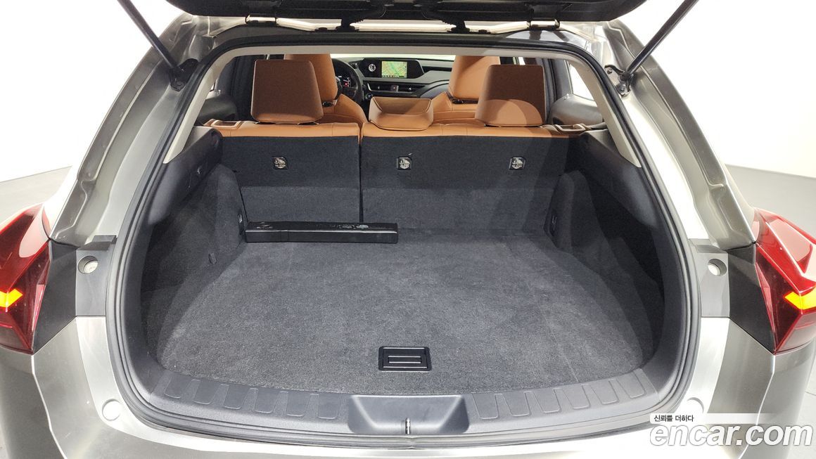 Lexus UX 2021