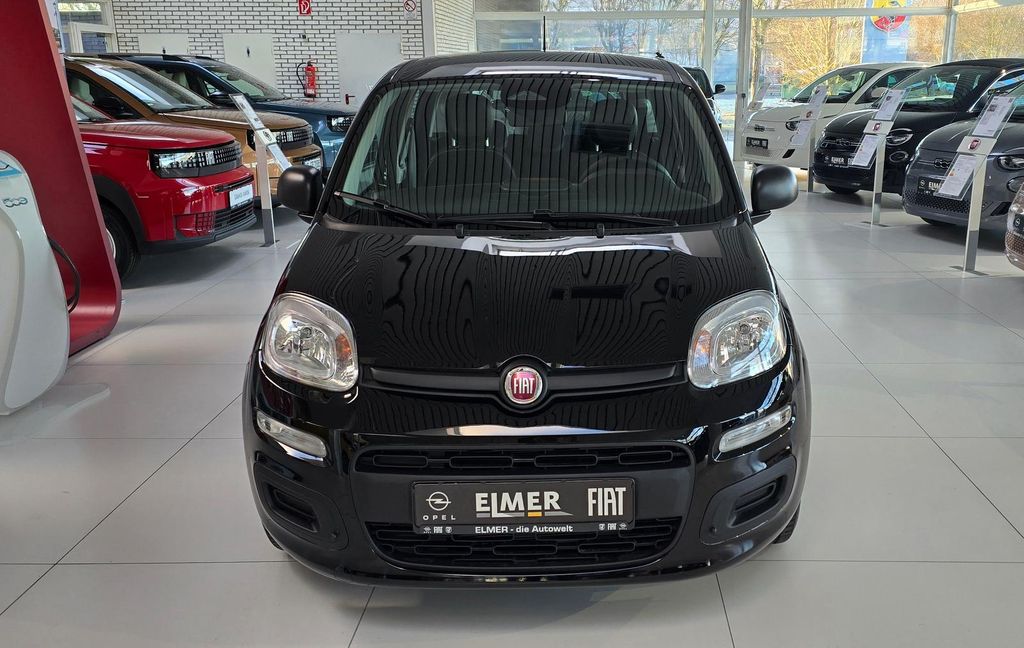 Fiat Other