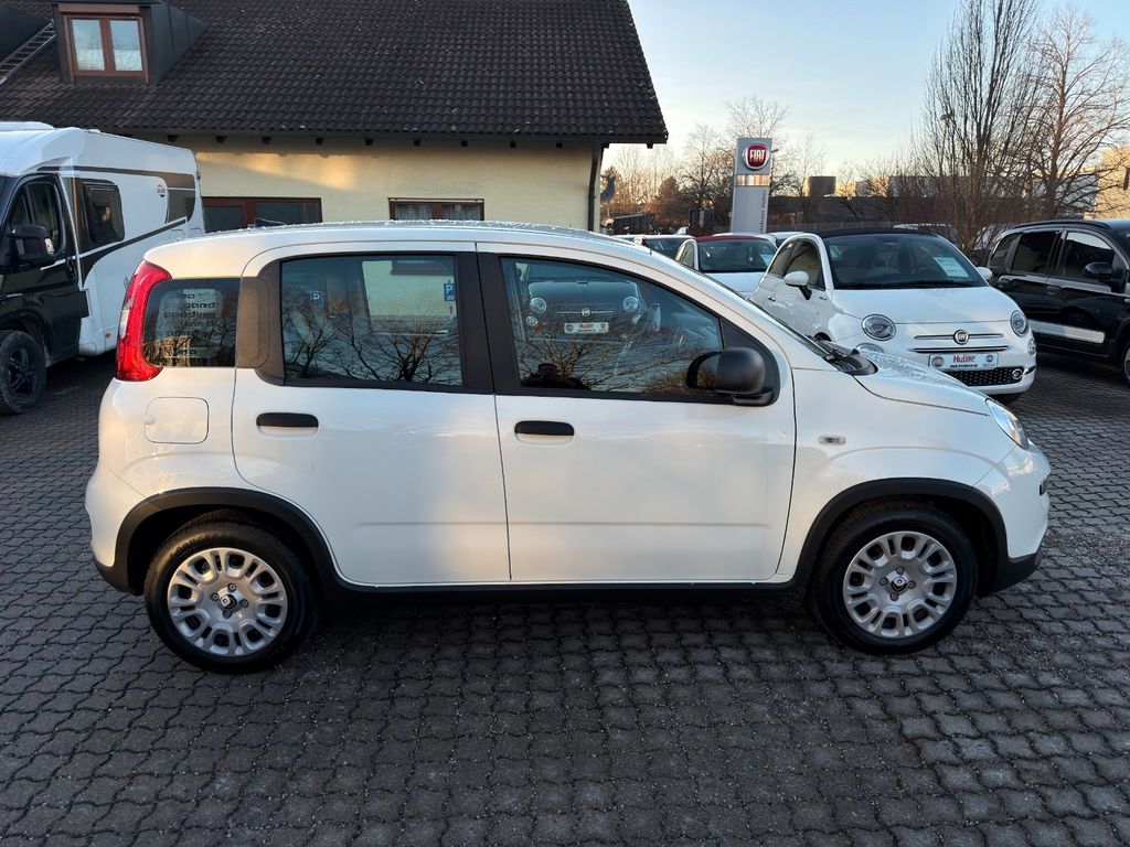 Fiat Panda 2025