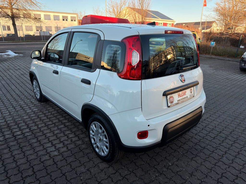 Fiat Panda 2025