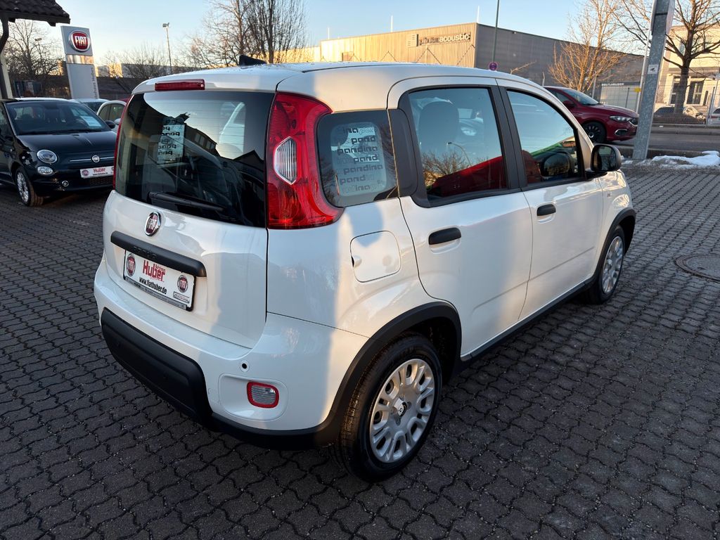 Fiat Panda 2025