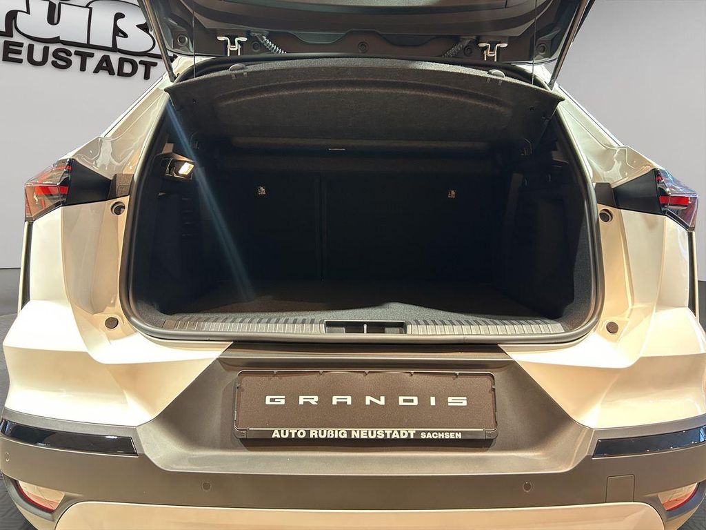 Mitsubishi Grandis