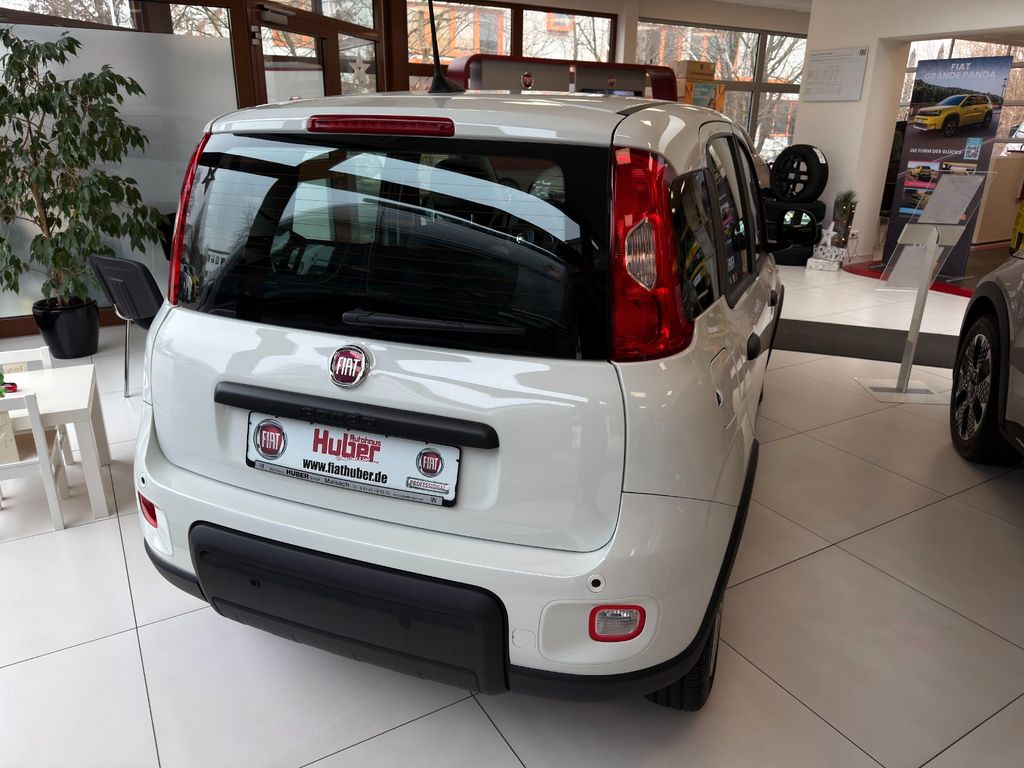 Fiat Panda 2024