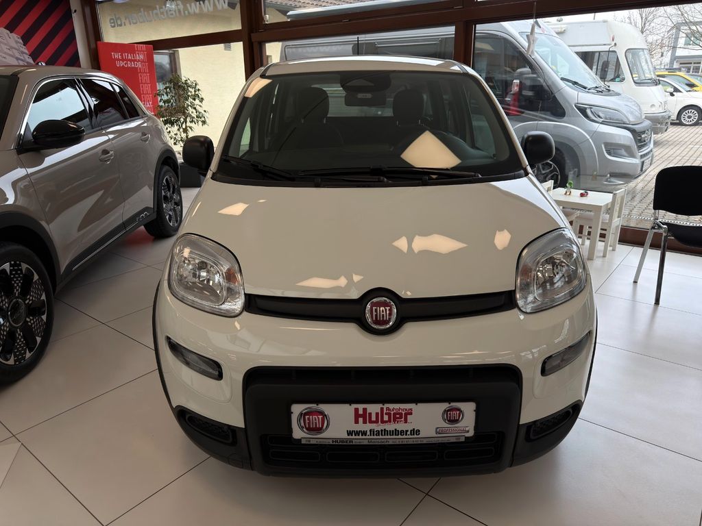 Fiat Panda 2024