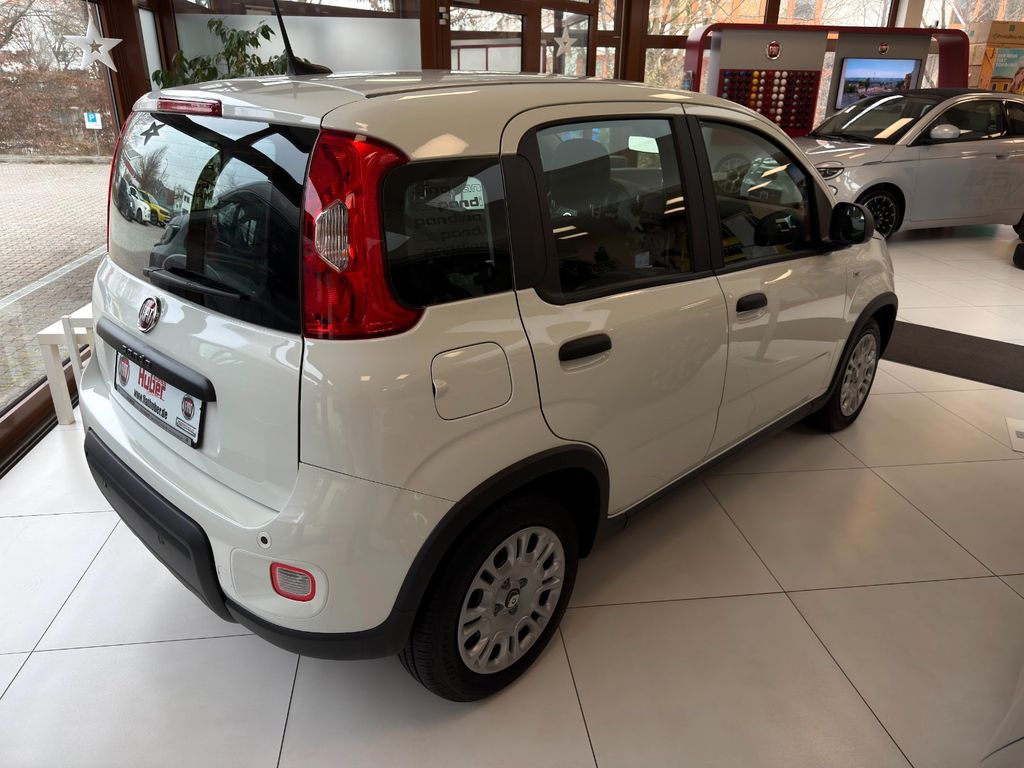 Fiat Panda 2024