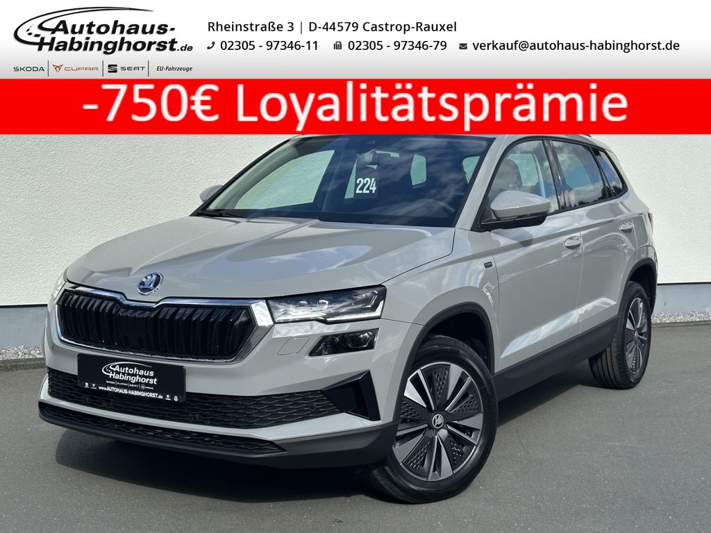 Skoda Karoq 2025