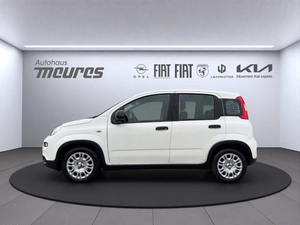 Fiat Panda 2025
