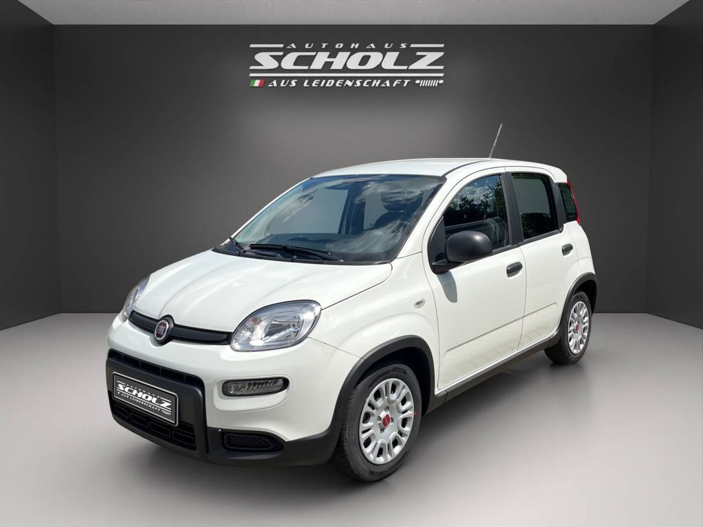 Fiat Panda 2024