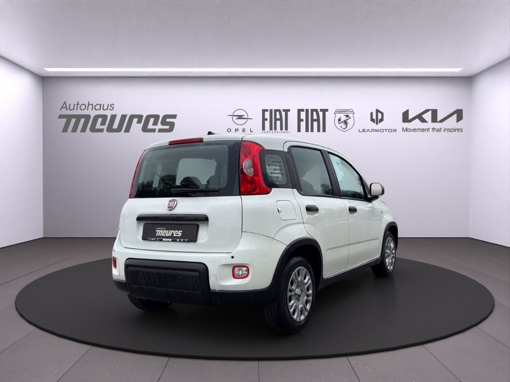 Fiat Panda 2025