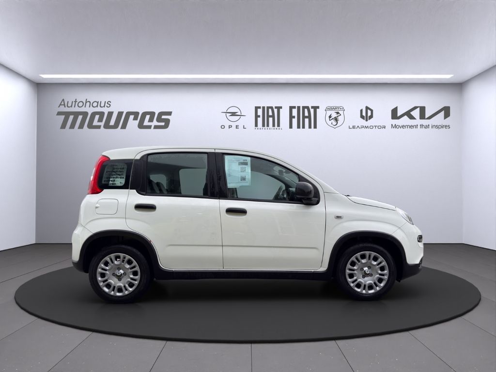 Fiat Panda 2025