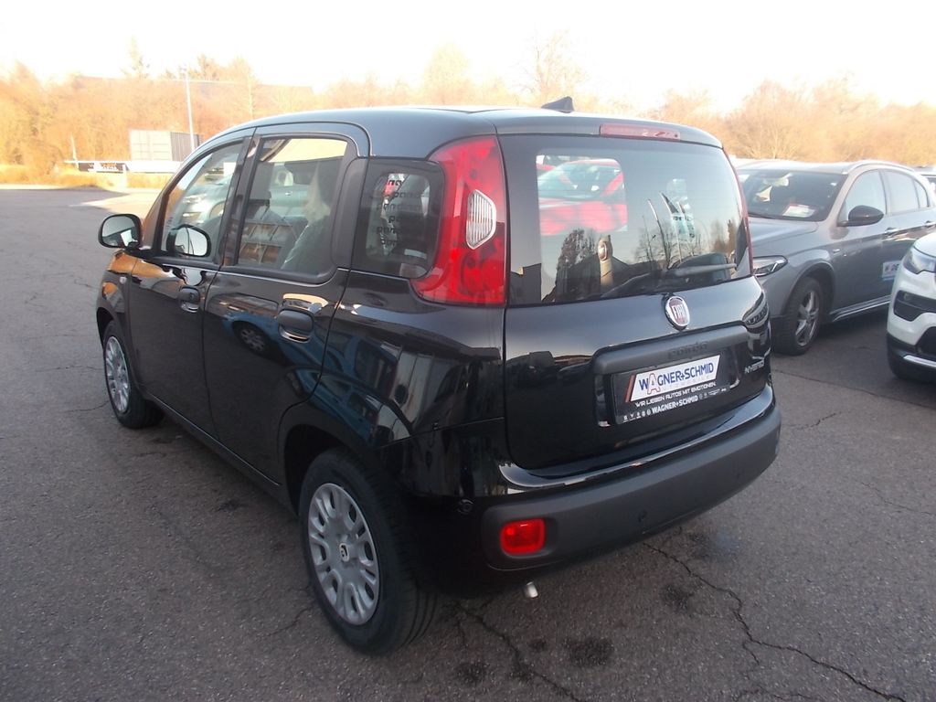 Fiat Panda 2025