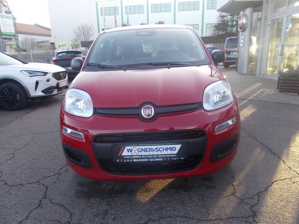Fiat Panda 2025