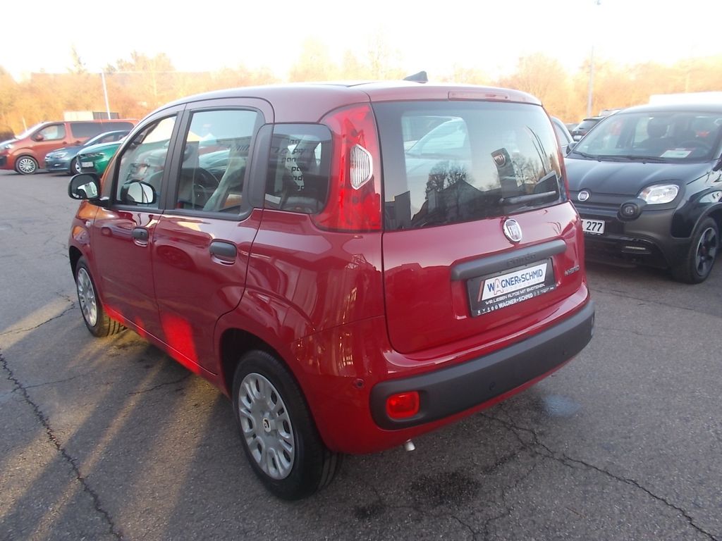 Fiat Panda 2025