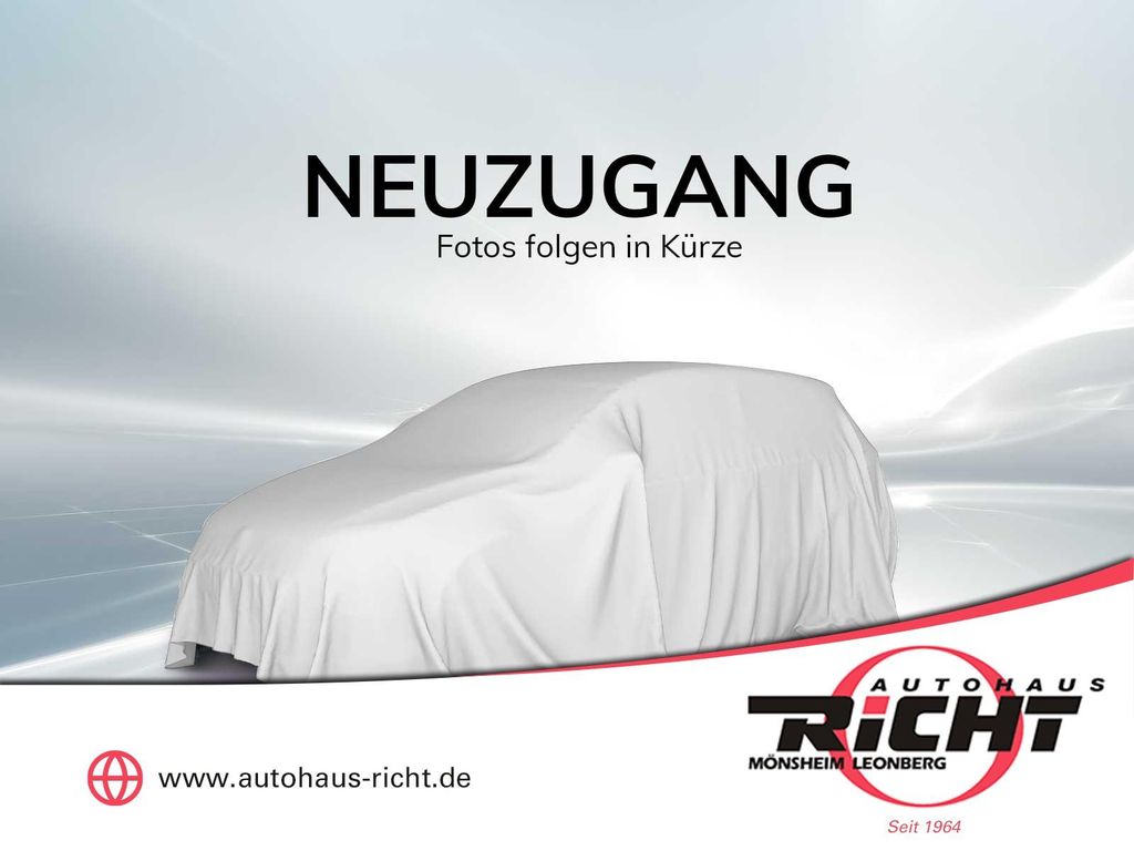 Seat Ibiza 2025