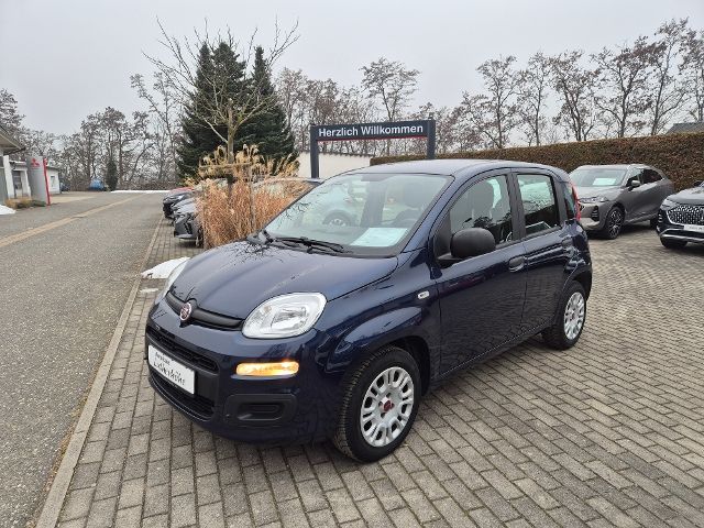 Fiat Other 2019
