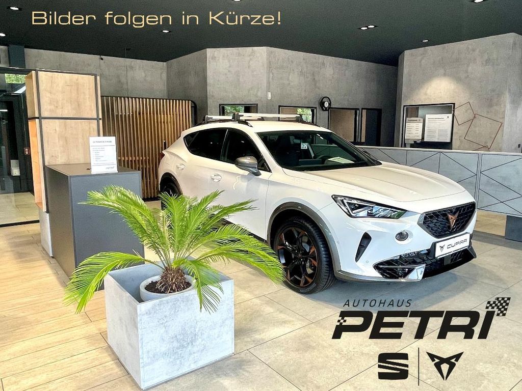 Seat Ibiza 2023