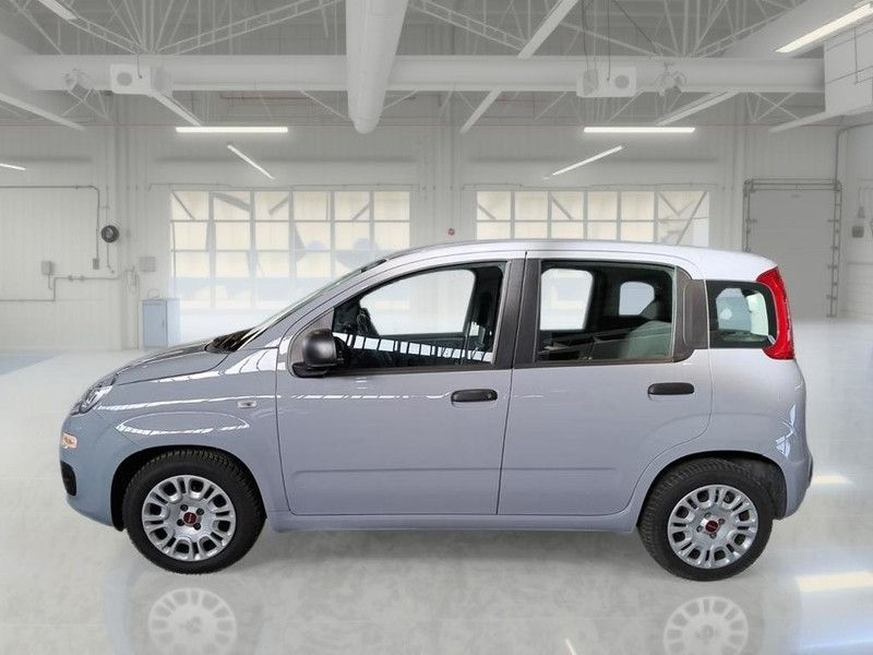 Fiat Panda 2021