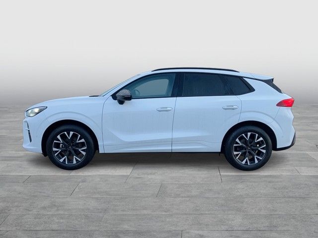 Cupra Terramar 2025
