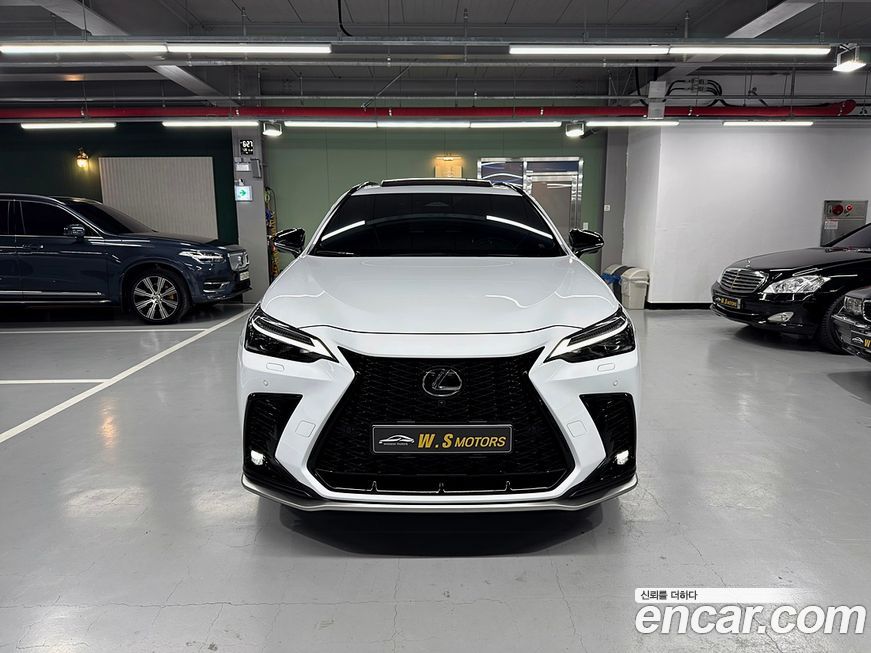 Lexus NX 2024