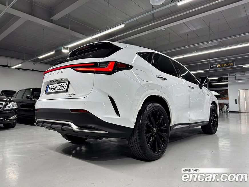 Lexus NX 2024