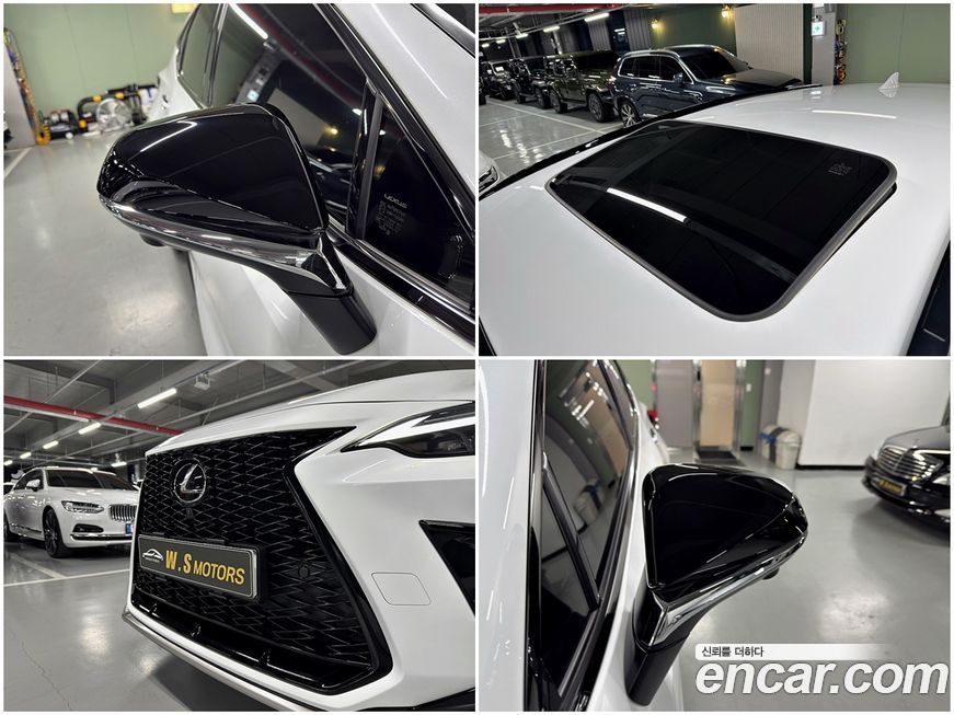 Lexus NX 2024
