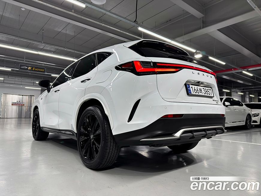 Lexus NX 2024