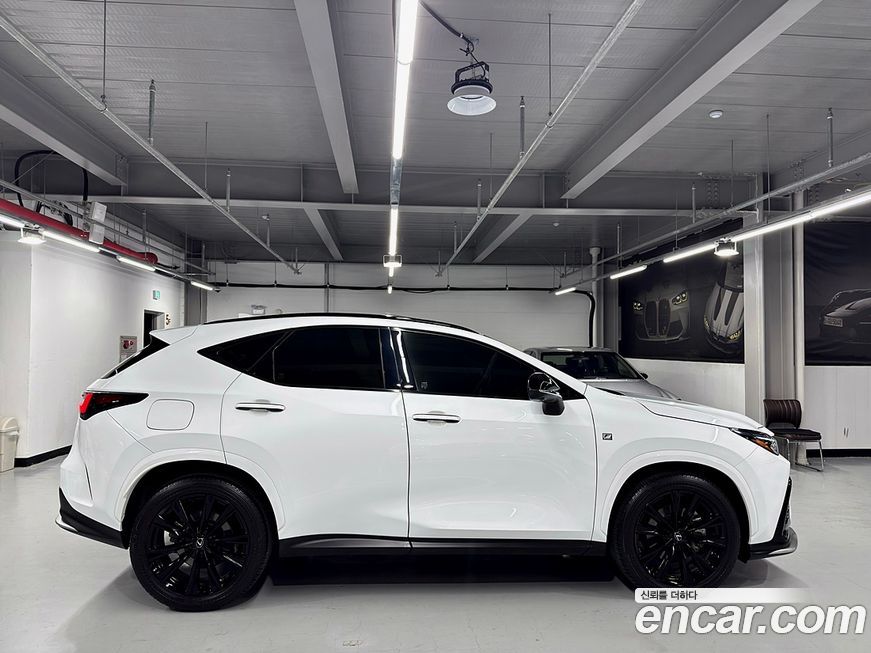 Lexus NX 2024
