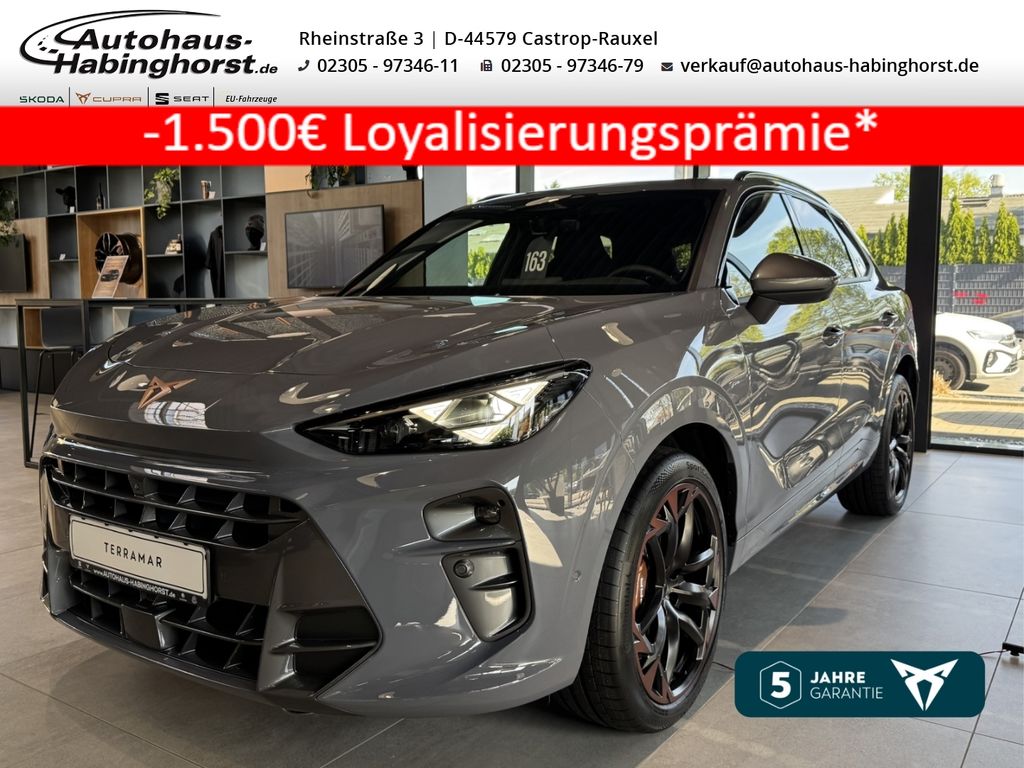 Cupra Terramar 2025