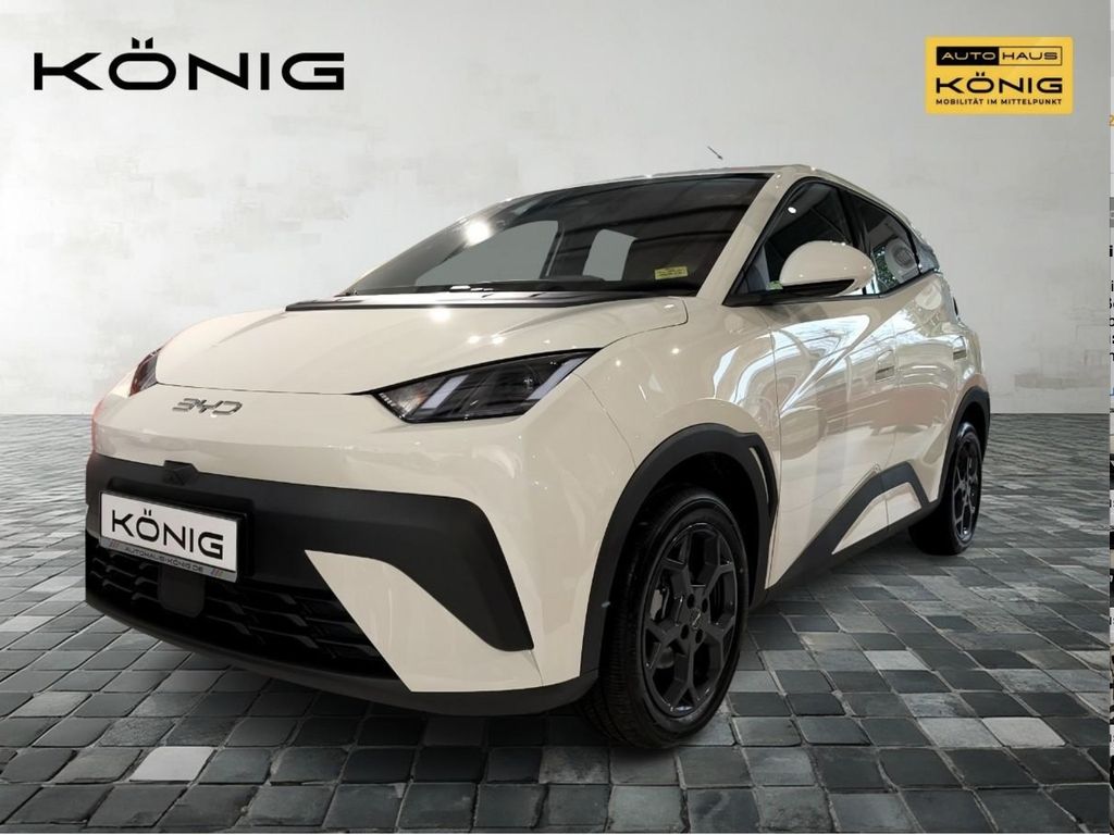 BYD DOLPHIN