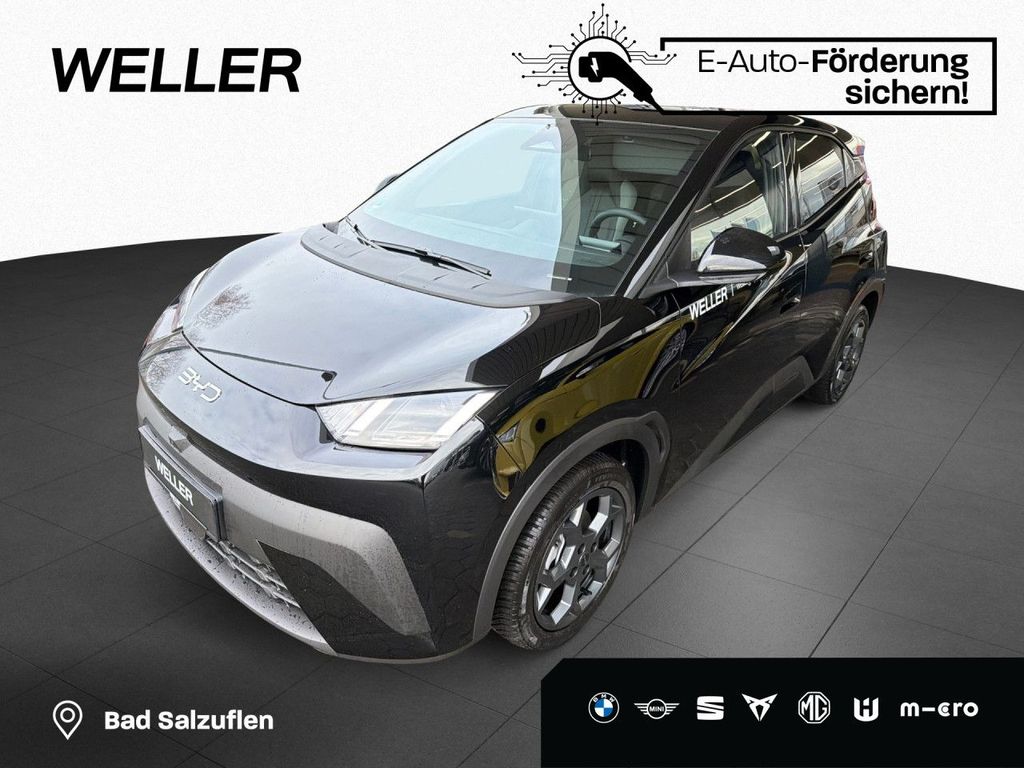 BYD DOLPHIN 2025
