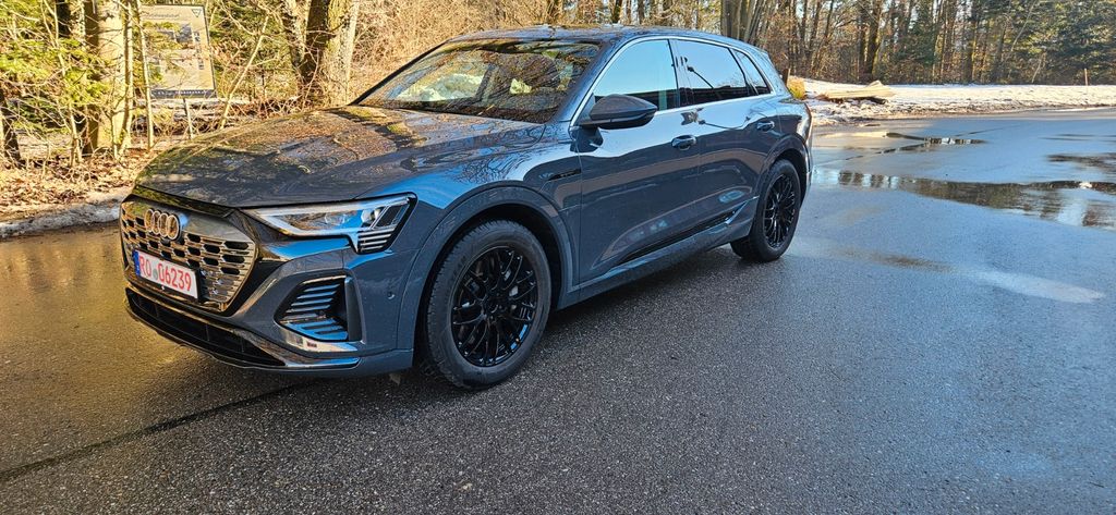 Audi Q8 e-tron 2024