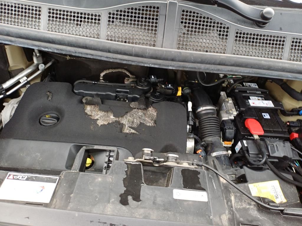 Peugeot Traveller 2020