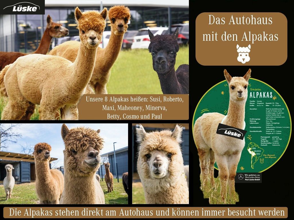 Mercedes-Benz GLE 350 2023