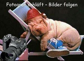 Volkswagen ID.7 2024