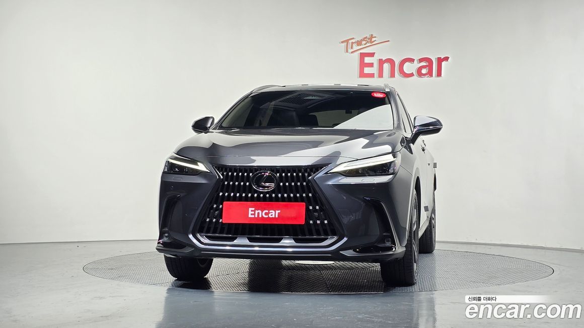 Lexus NX 2025